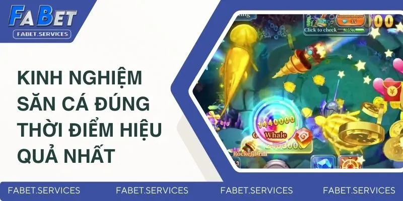 Bắn Cá Thần Tài - Game Săn Thưởng Mới Nhất Thị Trường 2025 4 Kinh nghiệm săn cá đúng thời điểm hiệu quả nhất
